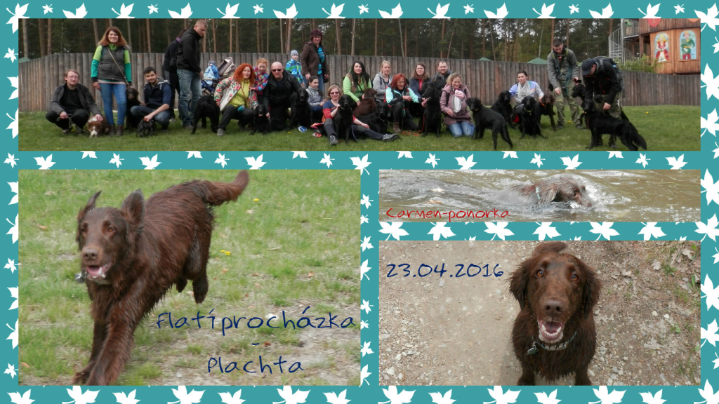 koláž Plachta