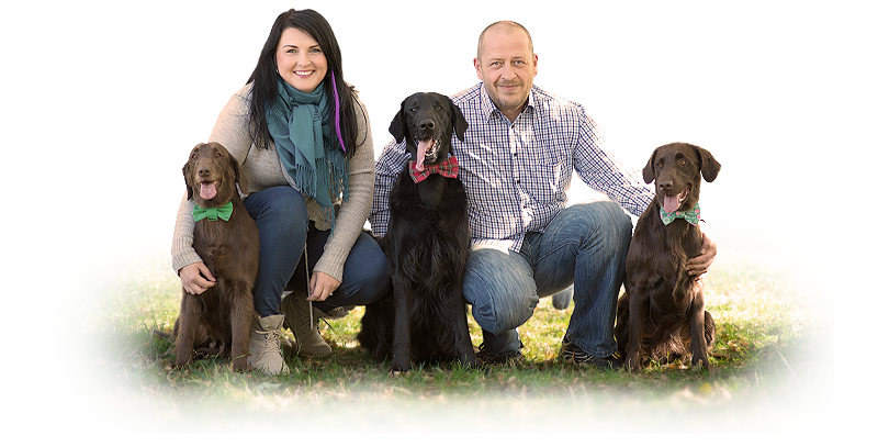 Flat Coated Retriever Anajsela